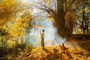 秋之歌(秋之歌)