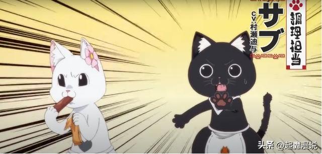 新番动漫资讯，开拉面店的猫猫们的日常，《拉面赤猫》7月播出