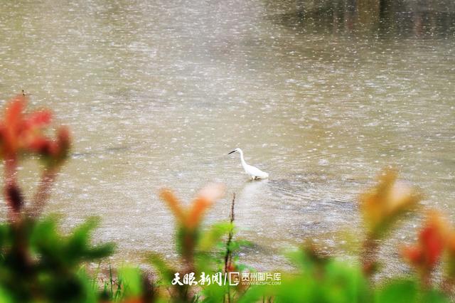 天青色等烟雨,而我在等你