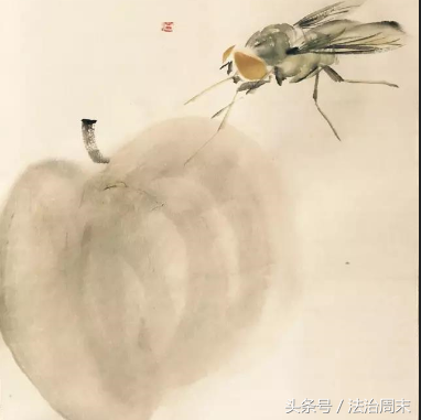 胡石的草虫世界