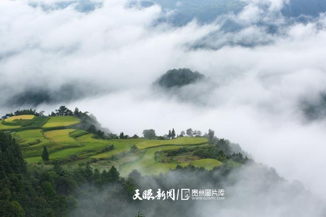 天青色等烟雨,而我在等你