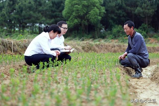 乡镇公务员男少女多正在失调,在特殊工作中还要“优先照顾女士”