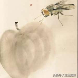 胡石(胡石的草虫世界)