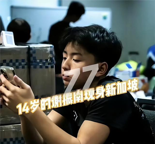 张柏芝小儿子谢振南正面照曝光,颜值比大哥顶!网友:父母基因强