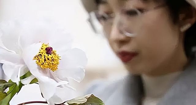 父母双双患癌后,28岁名校金融女被查出癌症晚期,花4年硬核抗癌