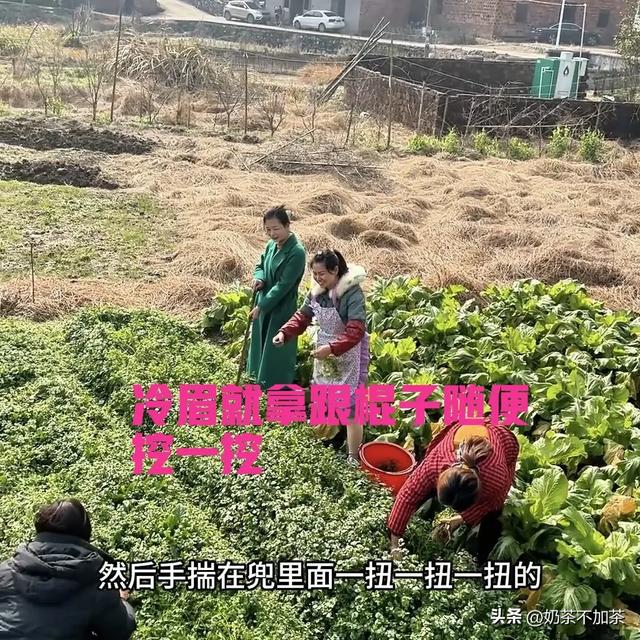 小凤回村过年入乡随俗,一秒变村姑,冷眉蹬高跟鞋嫌弃小凤手脏