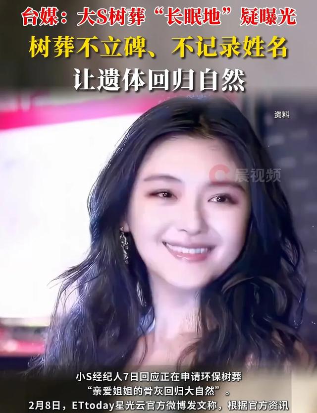 大S树葬:繁华落幕,回归自然的别样告别