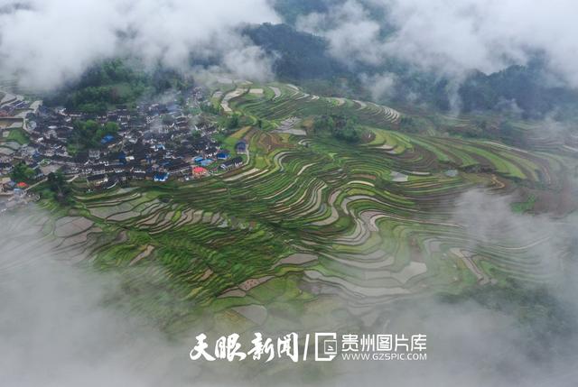 天青色等烟雨,而我在等你