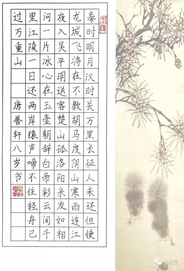 8岁女孩书法获特等奖,钢笔字认真细致有味道
