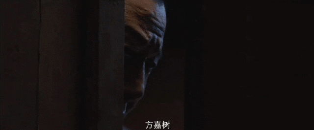 《潜行者》结局将至:朱玉是银狐,杜鹃另有其人,郑南雁身份曝光