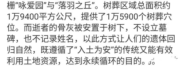 大S树葬:繁华落幕,回归自然的别样告别