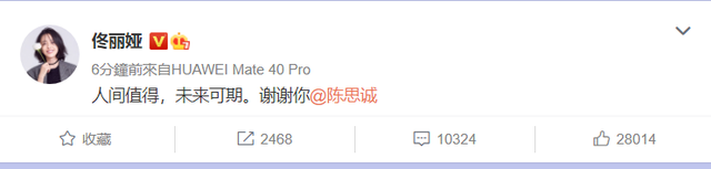 陈思诚佟丽娅离婚，两人已无商业关联