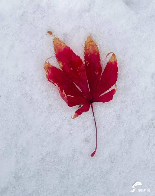 夜读丨​给心房下一场雪