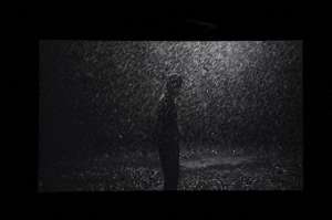 刘成瑞(中国当代艺术年鉴展：影像何以热门，评论何以缺失)