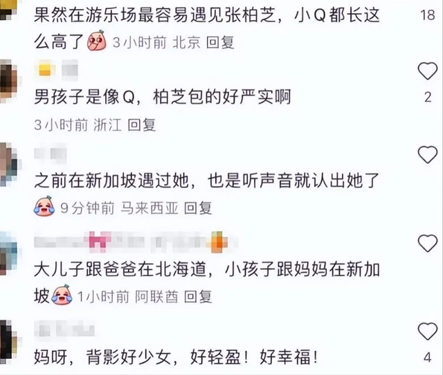 张柏芝小儿子谢振南正面照曝光,颜值比大哥顶!网友:父母基因强