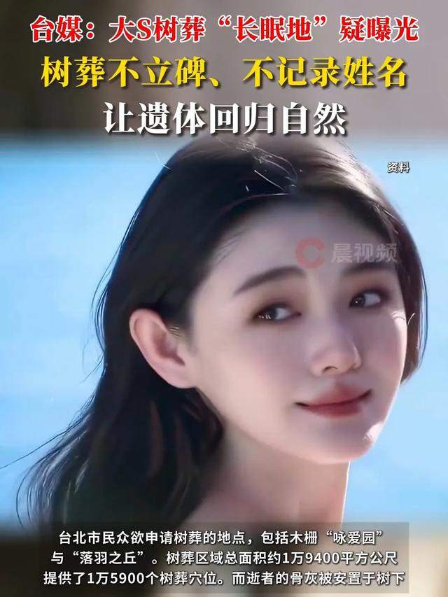 大S树葬:繁华落幕,回归自然的别样告别