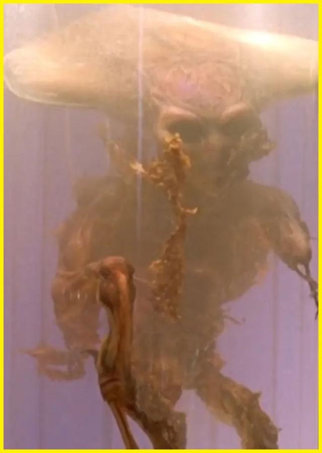 十大外星文明,工程师只排第四,氪星文明贼变态!