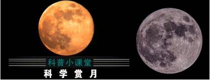 中秋活动丨月圆中秋,国风奇旅!海之花中秋国风游园会等你来!