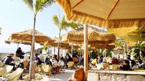 赵成杰(云南澄江：“网红”小湾村掀起“咖啡热”)