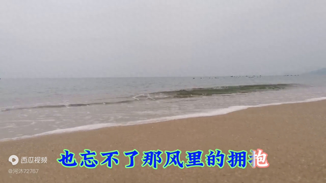 欣赏蔡琴演唱经典歌曲《不了情》完整版,深情缠绵