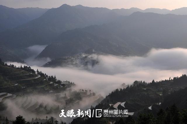 天青色等烟雨,而我在等你