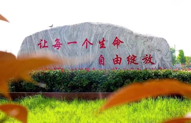 走读肥东尚真中学:二十年,正青春,这学校如你所愿