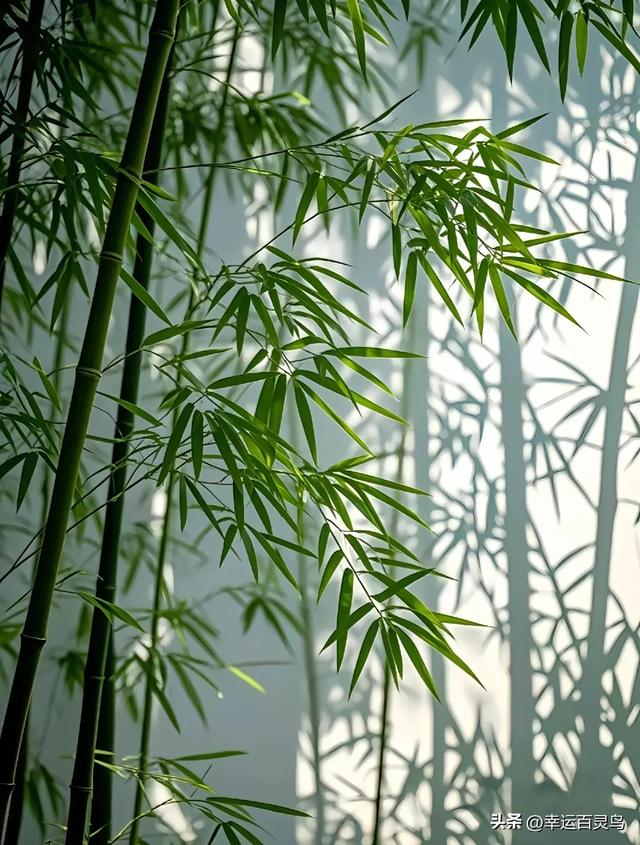 竹：君子之姿，高雅之境