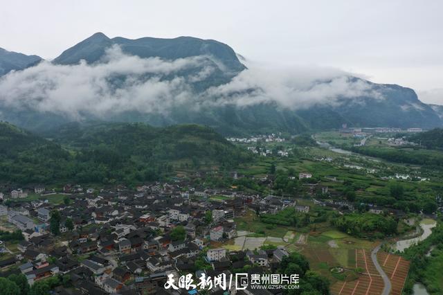 天青色等烟雨,而我在等你