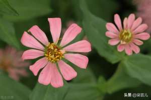 我又没说你(38岁女人为情人和丈夫离婚了，情人：你干嘛离婚？我又没说娶你)