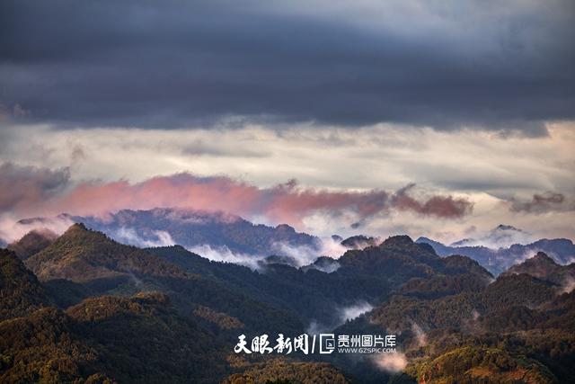 天青色等烟雨,而我在等你