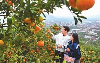 赏果林花海 闻山间果香