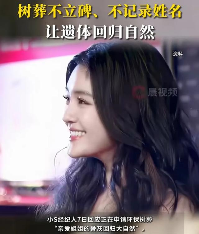 大S树葬:繁华落幕,回归自然的别样告别