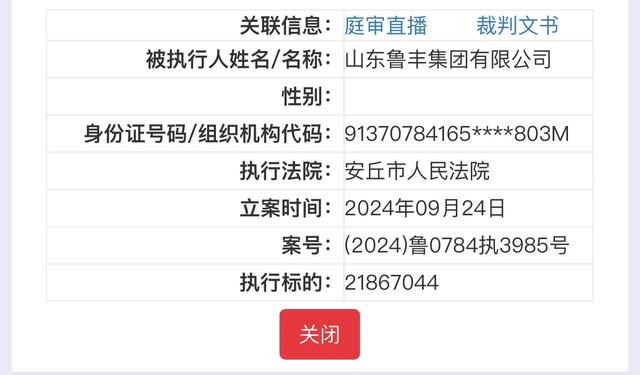 执行总标的7300余万!山东鲁丰集团连续5次被列为被执行人