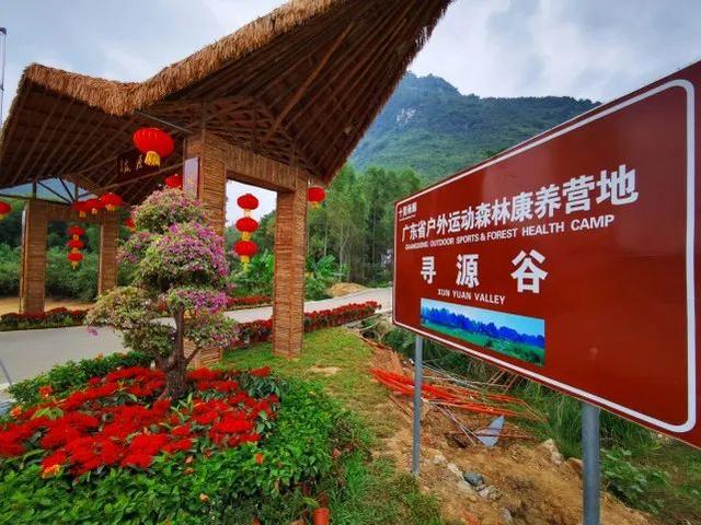 从“空心”村变成“网红”地,实现华丽蜕变的武器是.....