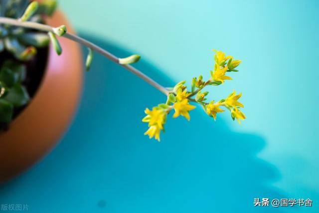 《庄子》：智者方知为梦，愚者自以为觉