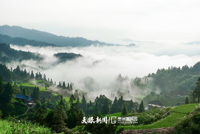 天青色等烟雨,而我在等你