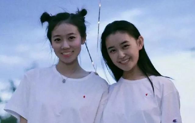 基因遗传太强大,女明星貌美如花的姐妹,林心如妹妹比她还美