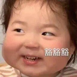 斗图表情包合集|请您这边滚
