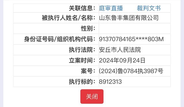 执行总标的7300余万!山东鲁丰集团连续5次被列为被执行人