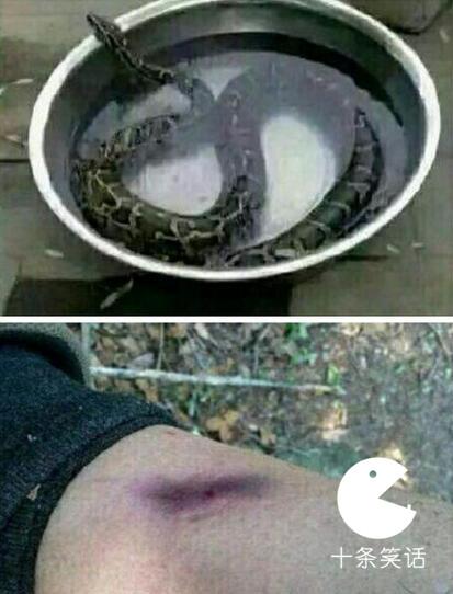 十条笑话：他曾经是王者，槟榔加烟法力无边