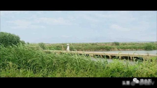 女神牺牲太大了,成人版《银娇》