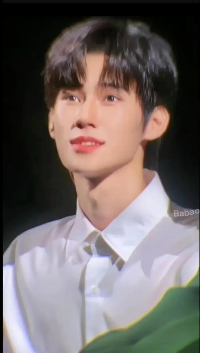 张真源:从少年偶像到全能艺人的蜕变