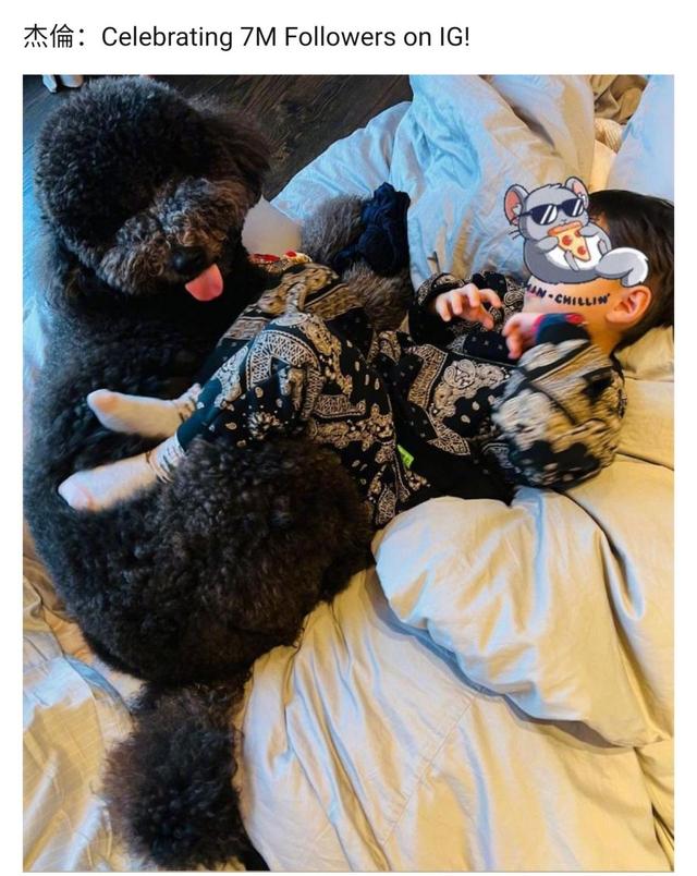 周杰伦晒4岁儿子萌照,头发乌黑浓密一身潮服,和狗狗在床上嬉戏