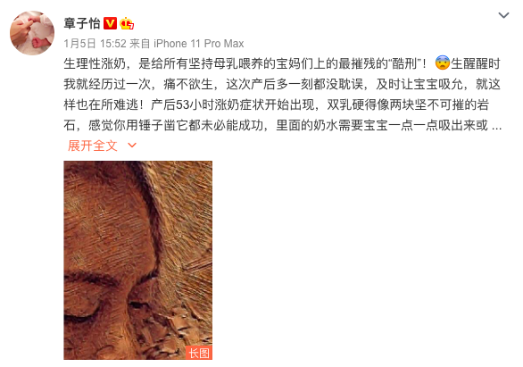 二胎产后六个月,章子怡辟谣怀三胎:嫁给汪峰后的她,完全变了样
