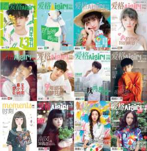 白槿湖(《爱格》宣布停刊，网友：再见了我的青春)