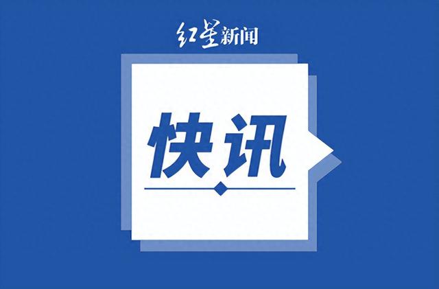 冉平,被开除党籍和公职