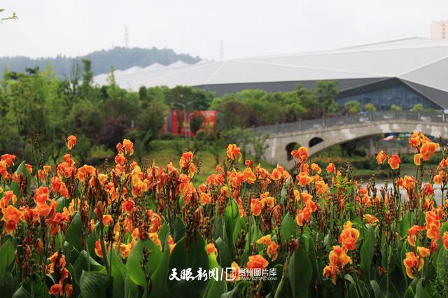 天青色等烟雨,而我在等你