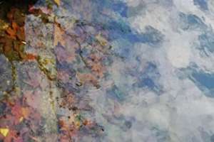 假如人生不曾相遇(散文：假如人生不曾相遇)