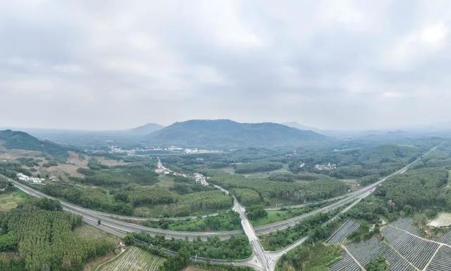 海南又开通一条旅游公路!466公里,这次是看热带雨林