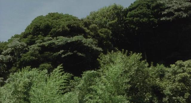 细野晴臣,一直走在“松弛感”的前列